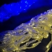 Світлодіодна гірлянда-завіса прозорий дріт Прапор України 120 LED Magic Lights ліхтарики 3 х 2 м мульти Світлодіодна гірлянда-завіса прозорий дріт Прапор України 120 LED Magic Lights ліхтарики 3 х 2 м мульти