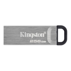 Флеш пам'ять USB 256 GВ Kingston Kyson USB 3.2 DT сріблястий