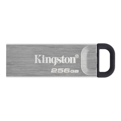 Флеш пам'ять USB 256 GВ Kingston Kyson USB 3.2 DT сріблястий