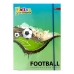 Папка для зошитів В5 Football на гумці картон зелений Папка для зошитів В5 Football на гумці картон зелений