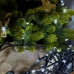 Світлодіодна гірлянда-нитка чорний дріт 200 LED Xmas рубін 15 м 8 режимів білий Світлодіодна гірлянда-нитка чорний дріт 200 LED Xmas рубін 15 м 8 режимів білий