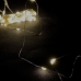 Світлодіодна гірлянда-нитка прозорий дріт 50 LED Magic Lights на батарейках 5 м теплий білий Світлодіодна гірлянда-нитка прозорий дріт 50 LED Magic Lights на батарейках 5 м теплий білий