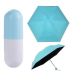 / Міні-парасолька IS33 Umbrella "Капсула" жіноча, складна, у футлярі, голубой / Міні-парасолька IS33 Umbrella "Капсула" жіноча, складна, у футлярі, голубой