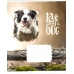 Зошит 12 аркушів лінія = Школярик 2795 Love my dog Зошит 12 аркушів лінія = Школярик 2795 Love my dog