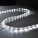 / Світлодіодна гірлянда-шланг дюралайт білий дріт 100 LED Rainberg 10 м білий / Світлодіодна гірлянда-шланг дюралайт білий дріт 100 LED Rainberg 10 м білий