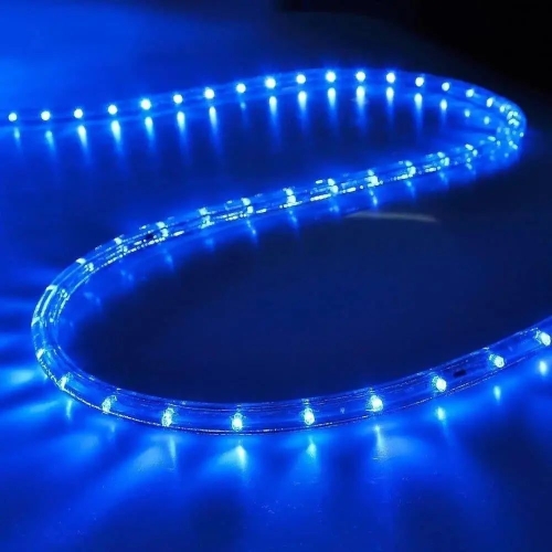 / Світлодіодна гірлянда-шланг дюралайт білий дріт 100 LED Rainberg 10 м синій