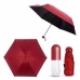 / Міні-парасолька IS33 Umbrella "Капсула" жіноча, складна, у футлярі, бордо / Міні-парасолька IS33 Umbrella "Капсула" жіноча, складна, у футлярі, бордо