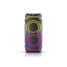 Колонка портативна з 2 мікрофонами та пультом ZXX 5530 Bluetooth LED чорний