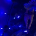 Світлодіодна гірлянда-нитка чорний дріт 400 LED SOFI свічка матова 30 м 8 режимів синій Світлодіодна гірлянда-нитка чорний дріт 400 LED SOFI свічка матова 30 м 8 режимів синій